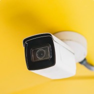 IP cameras